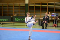 Landesmeisterschaft 2026